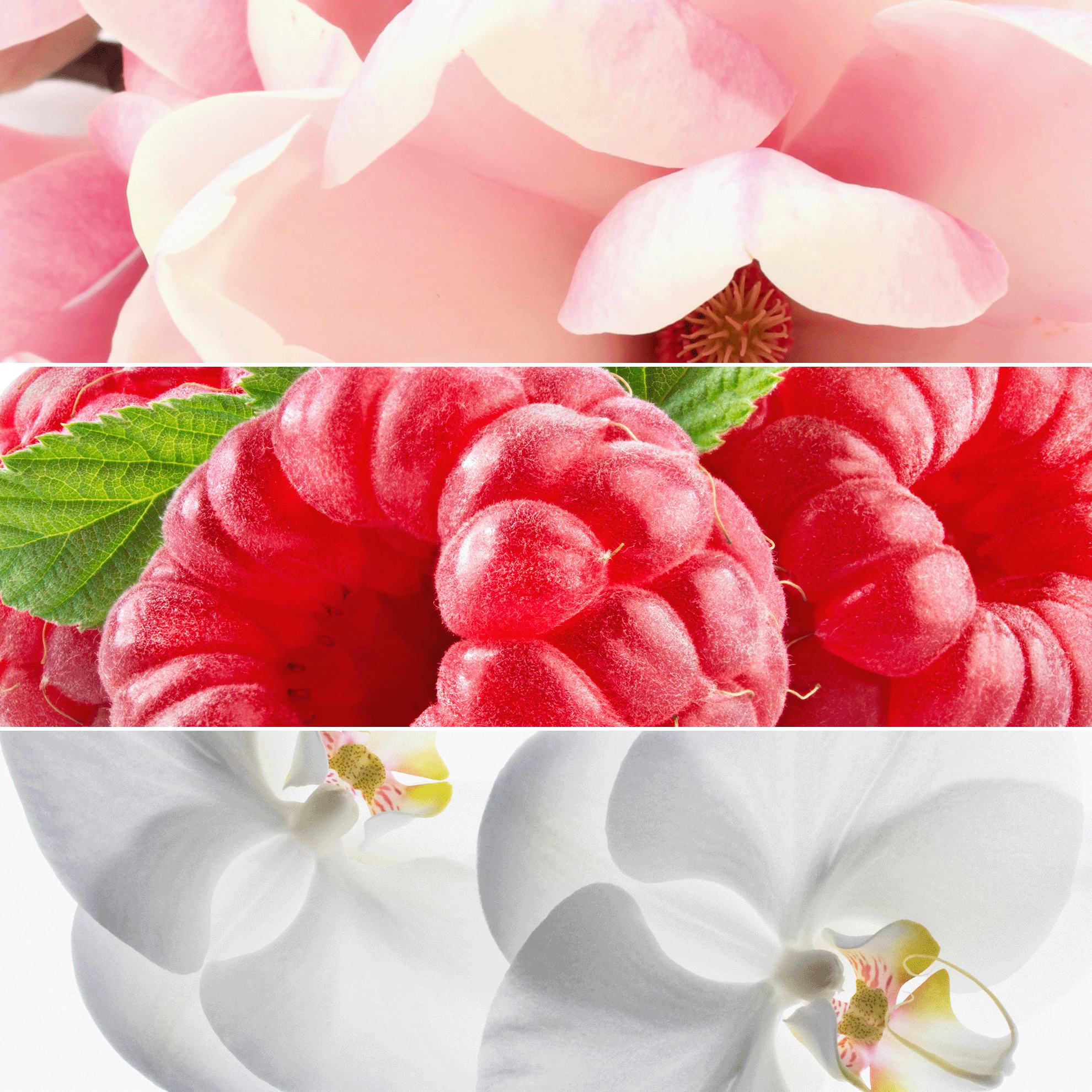 https://media-cdn.oriflame.cn/productImage?externalMediaId=product-management-media%2fProducts%2f35679%2f35679_4.png&MediaId=17981307&Version=3