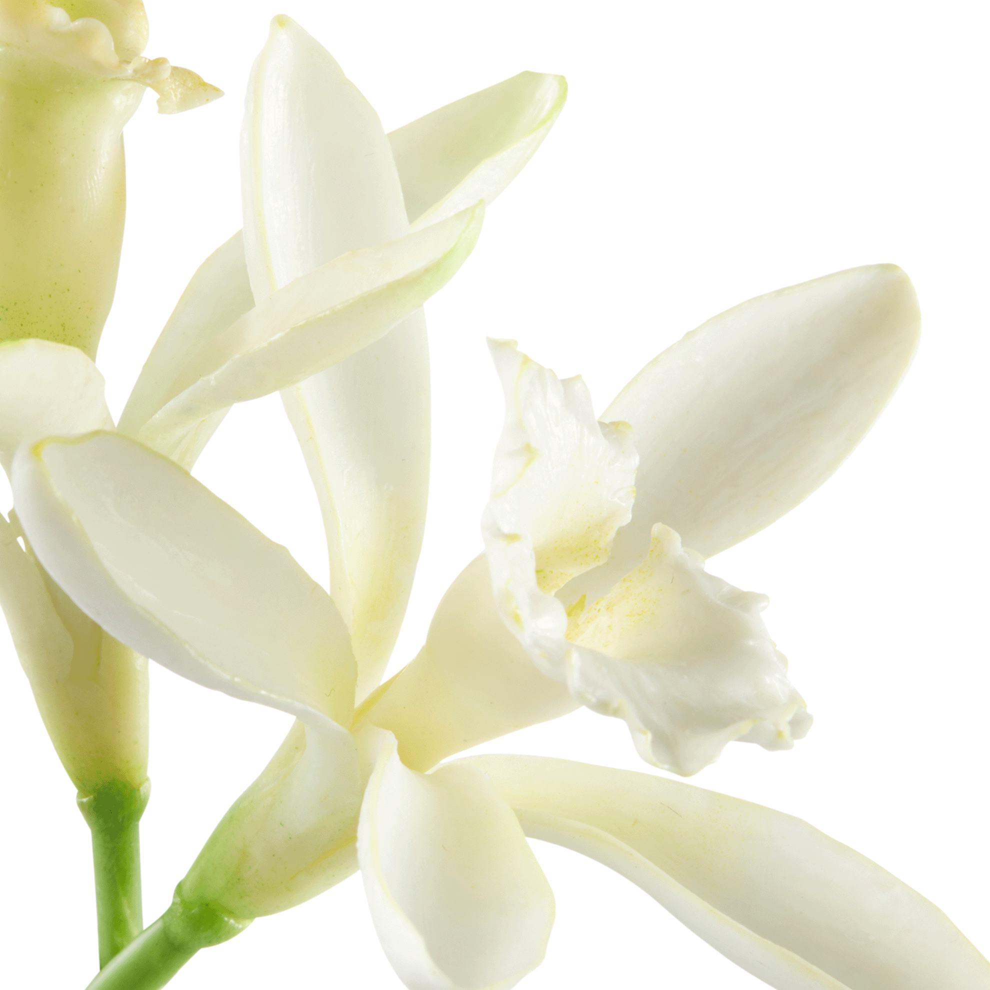 https://media-cdn.oriflame.cn/productImage?externalMediaId=product-management-media%2fProducts%2f35679%2f35679_5.png&MediaId=17981308&Version=3